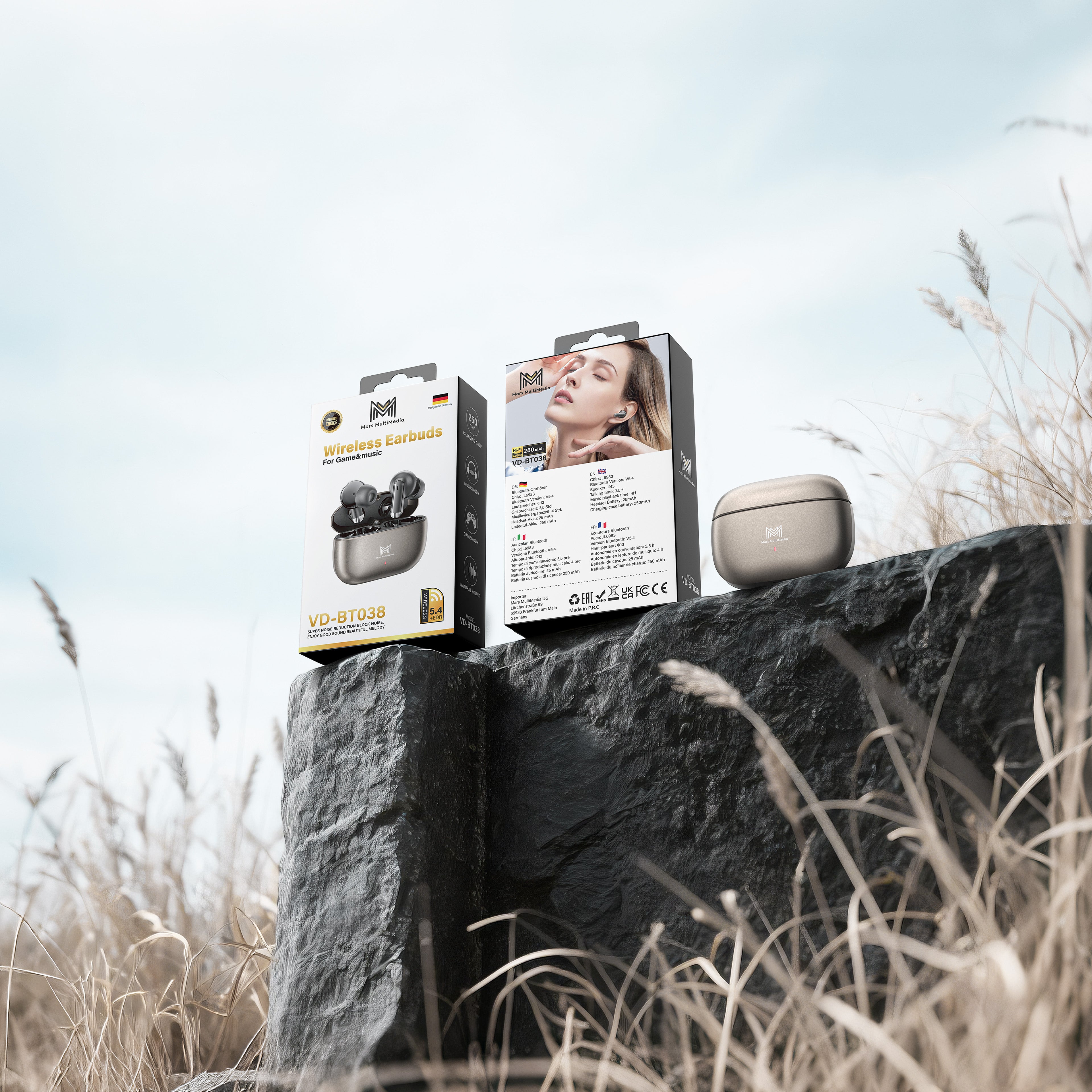 True Wireless Stereo (TWS)